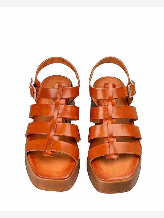 Zakro Collection