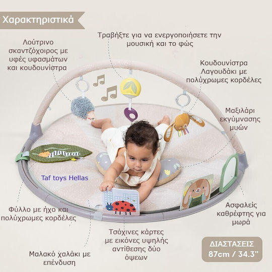 Taf Toys Activity Gym with Music for Newborns