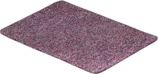 Covor de Intrare Multicolor 60x40buc