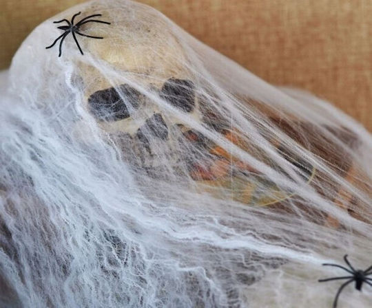 Decorative Spider Web Set Zola 2 Figurines Included Realistic Look White