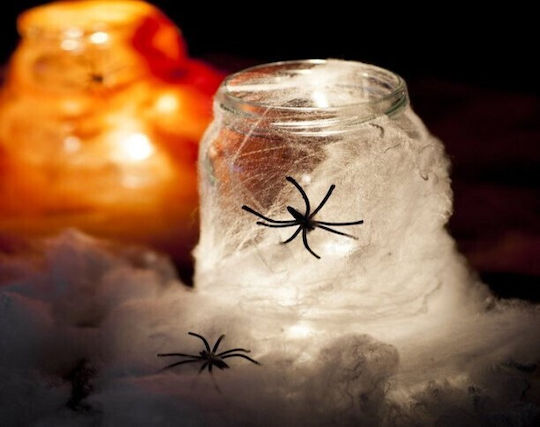 Decorative Spider Web Set Zola 2 Figurines Included Realistic Look White