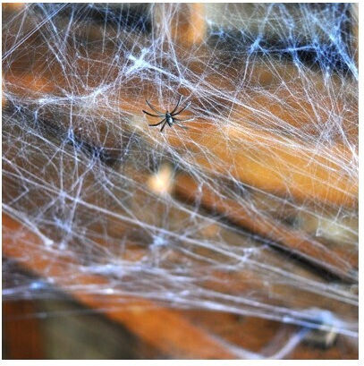 Decorative Spider Web Set Zola 2 Figurines Included Realistic Look White