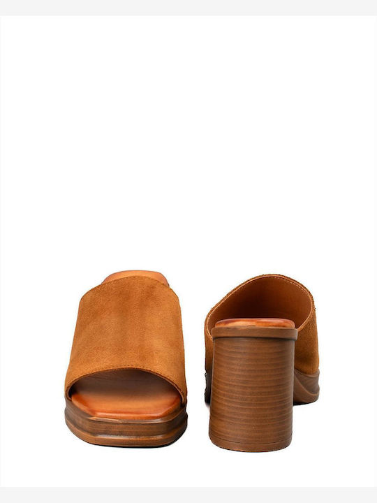 Zakro Collection