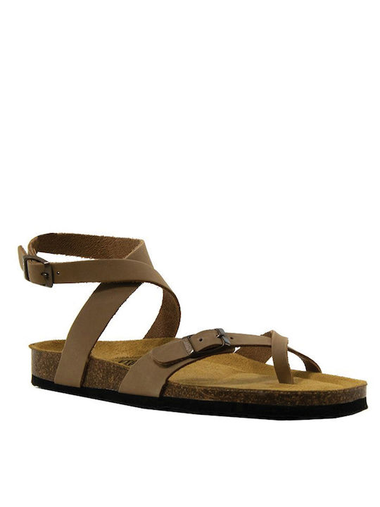 Plakton Women's Flat Sandals in Brown Color