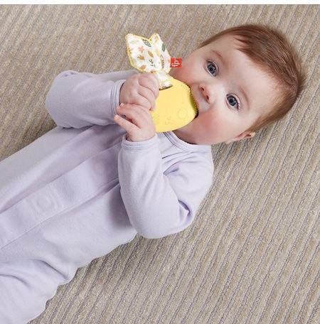 Fisher Price Kaninchen Beißspielzeug für das Zahnen BPA-frei aus Silikon für 3 m+