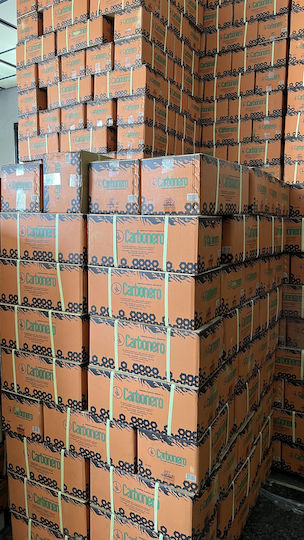 Carbonero Briketts 10kg