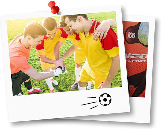 NEO Sport Plasă Ținte pentru Antrenament Fotbal 245x155x80cm