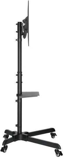 Sbox FS-224-2 Стойка за телевизор Стенен до 55" и 35кг Сребрист