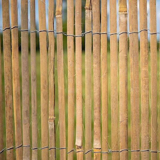 Ecoshadow Gard de Bambus Bambus cu Jumătate de Lemn 1x3m