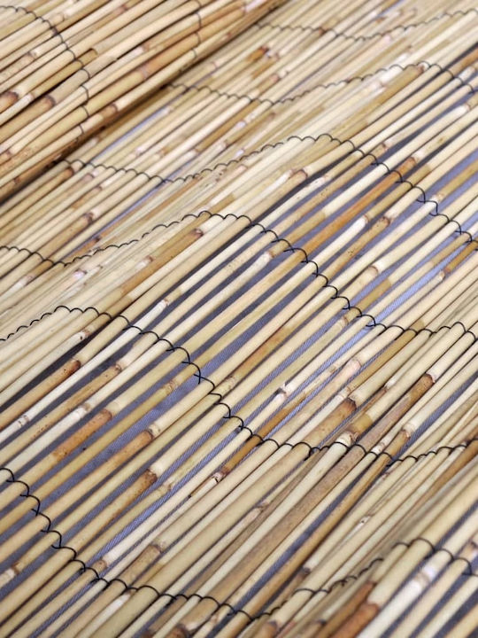 vidaXL Bamboo Fencing with Whole Reed Bamboo 80x500cm