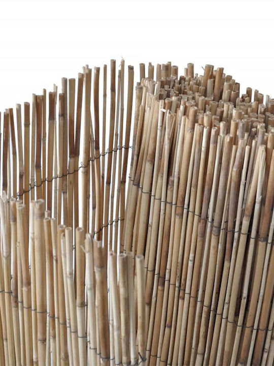 vidaXL Bamboo Fencing with Whole Reed Bamboo 90x300cm
