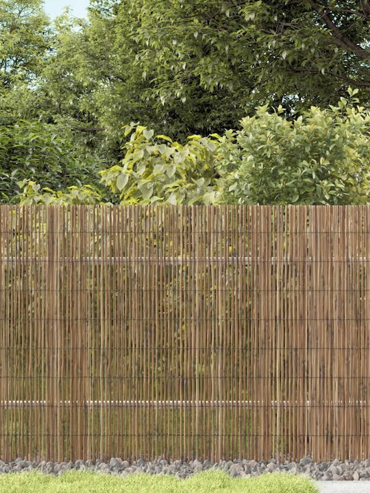 vidaXL Bamboo Fencing with Whole Reed Bamboo 80x500cm