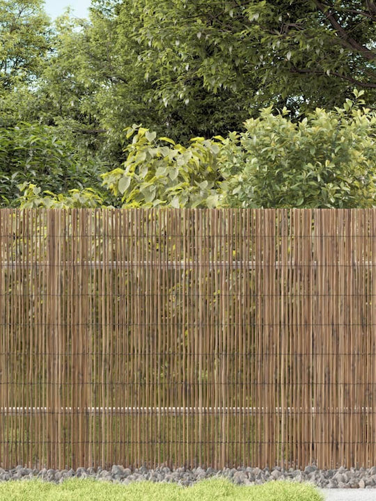 vidaXL Bamboo Fencing with Whole Reed Bamboo 80x600cm