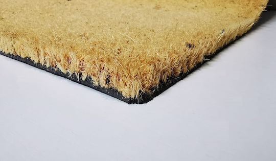 Fußmatte Eingang aus Kokosnuss 60x40cm