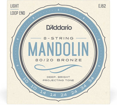 Daddario Mandolin 10-34