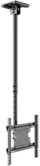 Multibrackets M Public Ceilingmount Medium Single 3000 Телевизионна стойка Таван с ръка до 55" и 30кг