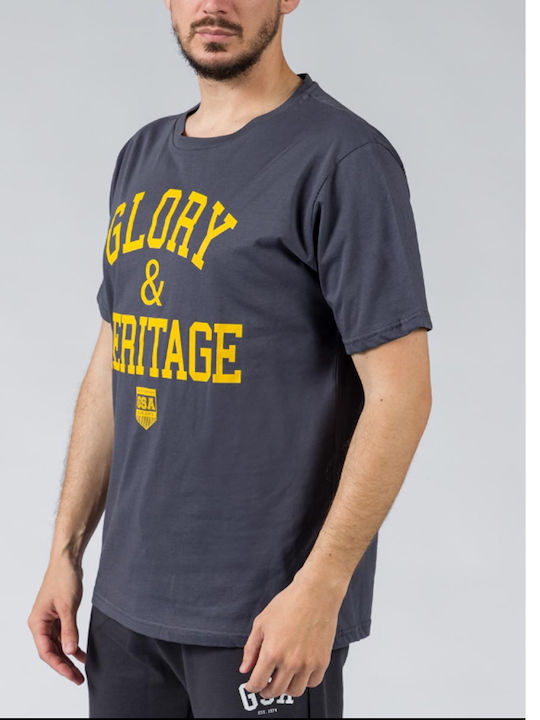 Glory T-shirt Gray