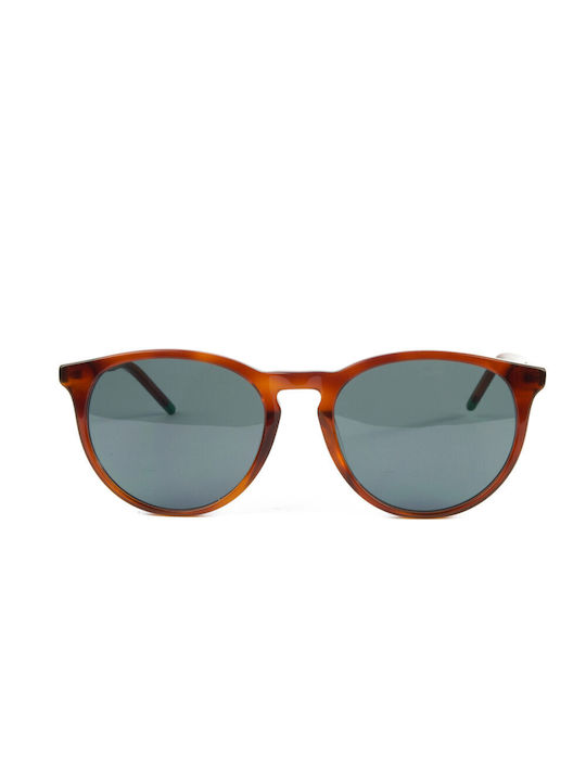 The Glass of Brixton Sunglasses with Brown Plastic Frame and Gray Lens BS208 14