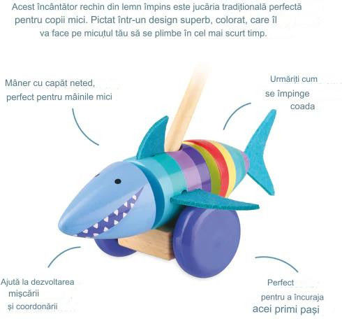 Orange Tree Toys Push Along made of Wood for 18++ Months