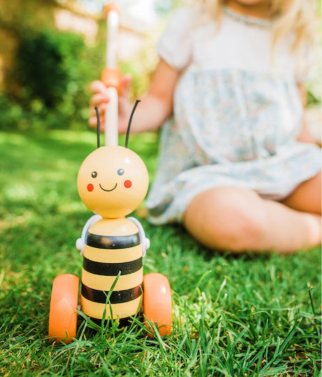 Orange Tree Toys Βρεφικό Παιχνίδι Push
