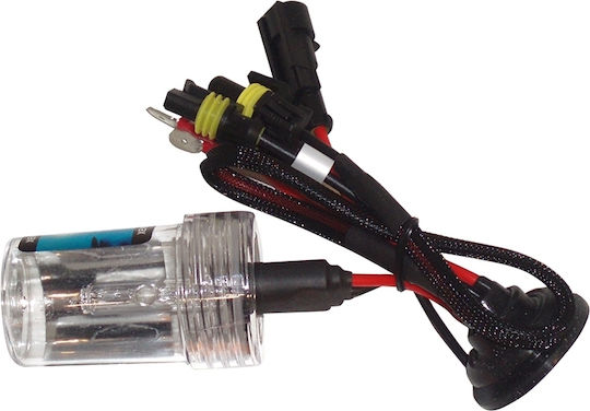 Autoline Lamps Car 10267 H7 Xenon 6000K Cold White 1pcs