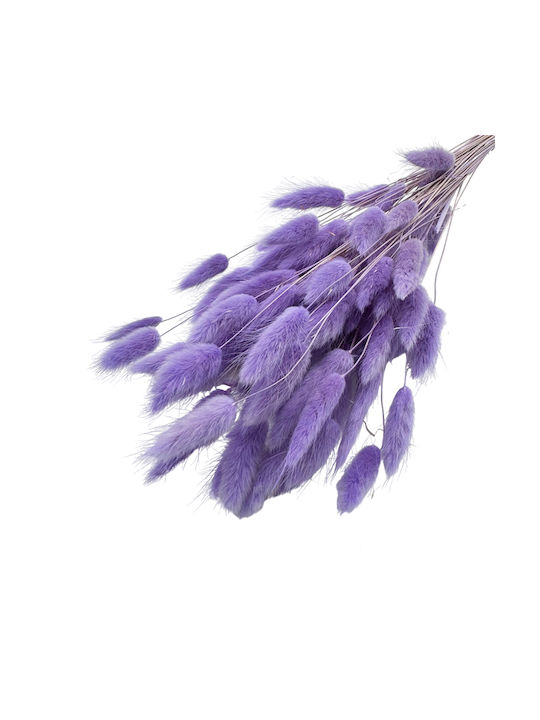 Dried Plant Purple 1pcs