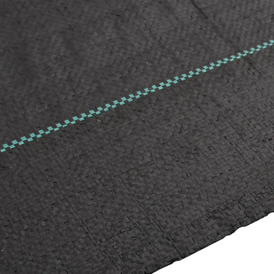vidaXL 4005180 Ground Cover Fabric 100gr/m² 1x25m Black