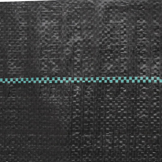 vidaXL 4005180 Ground Cover Fabric 100gr/m² 1x25m Black