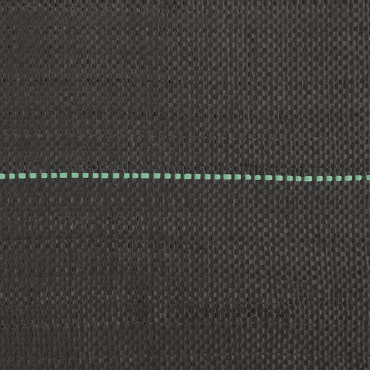 vidaXL 4005237 Ground Cover Fabric 150gr/m² 4x50m Black