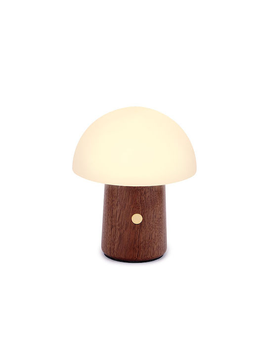 Gingko Decorative Lamp Mushroom