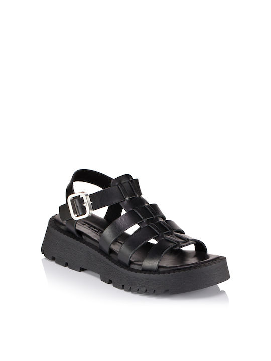 Tomas Shoes