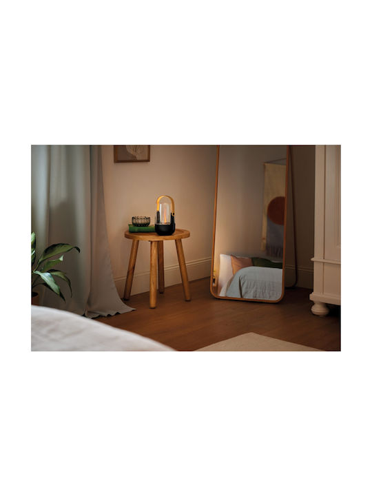 Stadler Form Lumini LED Dispozitiv de aromaterapie Negru 50ml