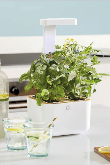Veritable Autonomous Home Garden Botaneo Eylo Jar Plastic Veritable Autonomous Home Garden Botaneo Eylo Jar Plastic