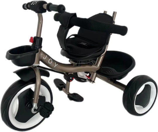 Joy Convertible with Parental Handle for 1.5+ Years Black