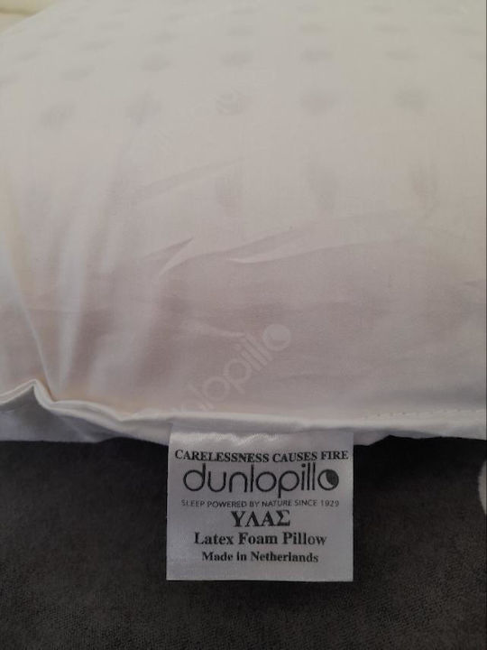 Dunlopillo Ylas Kopfkissen Schlaf Latex 46x69cm