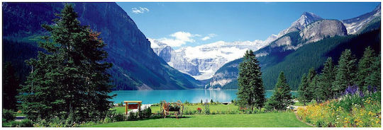 Panoramic Lake Louise Canadian Rockies Puzzle 2D 1000pcs 6010-1456
