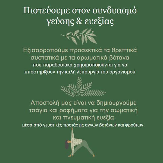 Eubiotica Ρόφημα με Μαύρο Τσάι με Συνένζυμο Q10, Μηλικό Οξύ & Β12 σε Φακελάκια / Sticks 156gr
