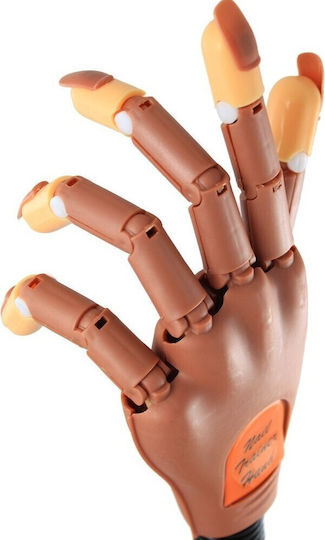 Ersatznägel Ästhetik