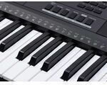 Medeli Tastatur MK401 mit 61 Tasten mit Notenständer Schwarz