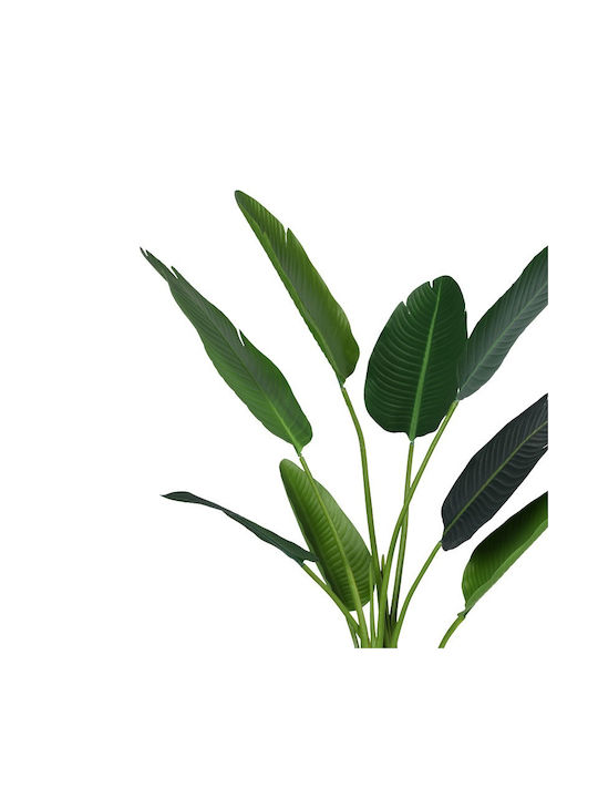 Palm Tree Outdoor 120cm Inart