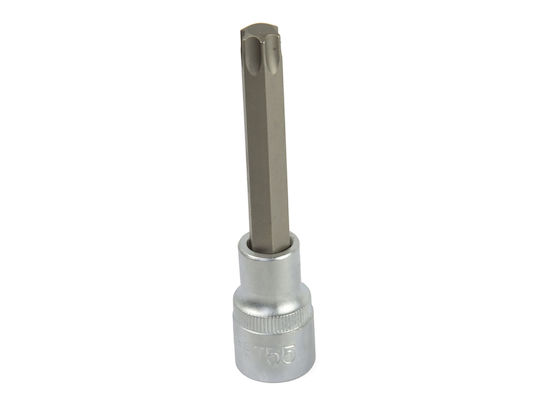 Geko Walnut with Torx Head and Socket 1/2''