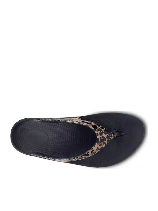 Oolala Women's Flip Flops Black Leopard