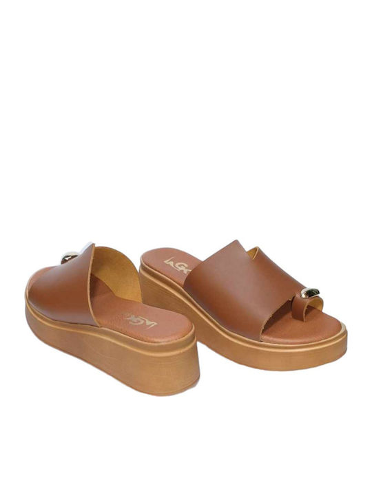 Gk Shoes