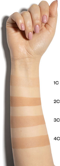 Paese Illuminating Covering Powder 01 Șampanie 15gr