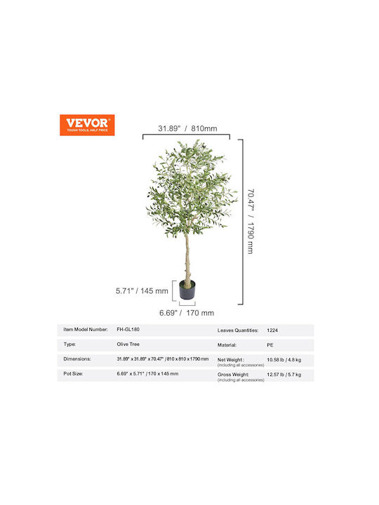 Ελιά σε Γλάστρα 179cm Vevor