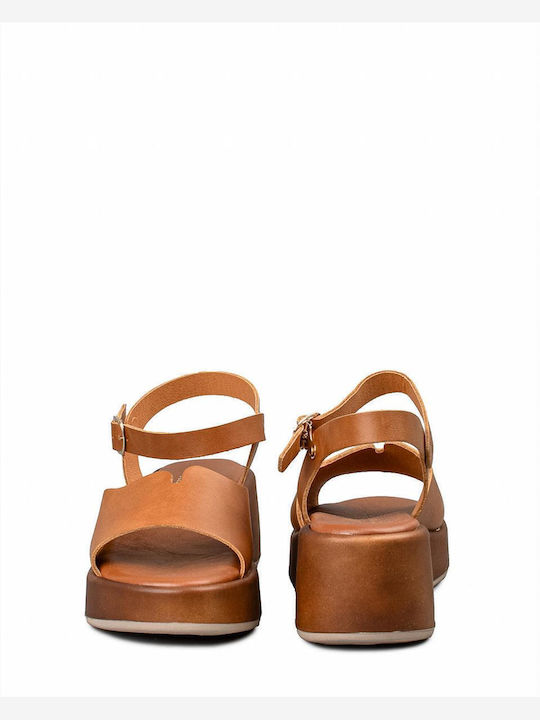 Zakro Collection