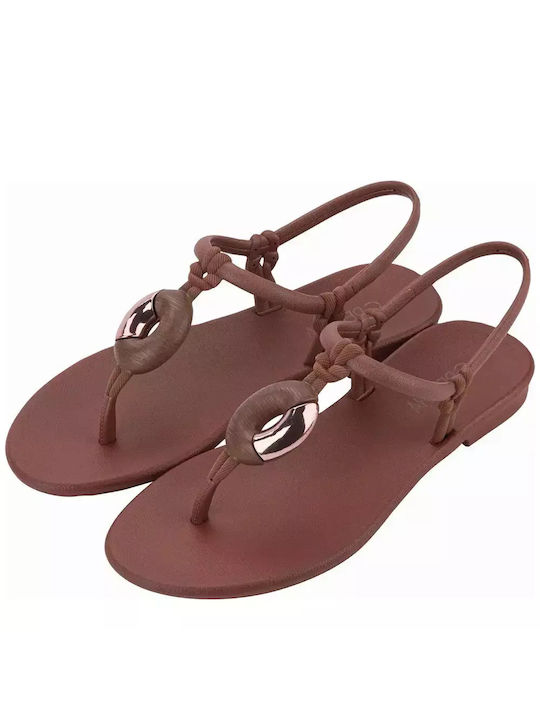 Ipanema Frauen Flip Flops in Braun Farbe