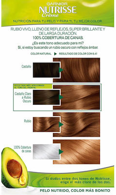 Garnier Nutrisse Hair Dye 6,41 Marron Intenso 3x