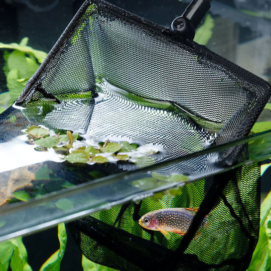 Dennerle Auffangnetz Aquarium 60x60cm