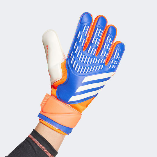 adidas Predator Match Mănuși portar Adulți Albastru